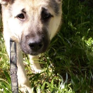 Meet your Posher, Christine